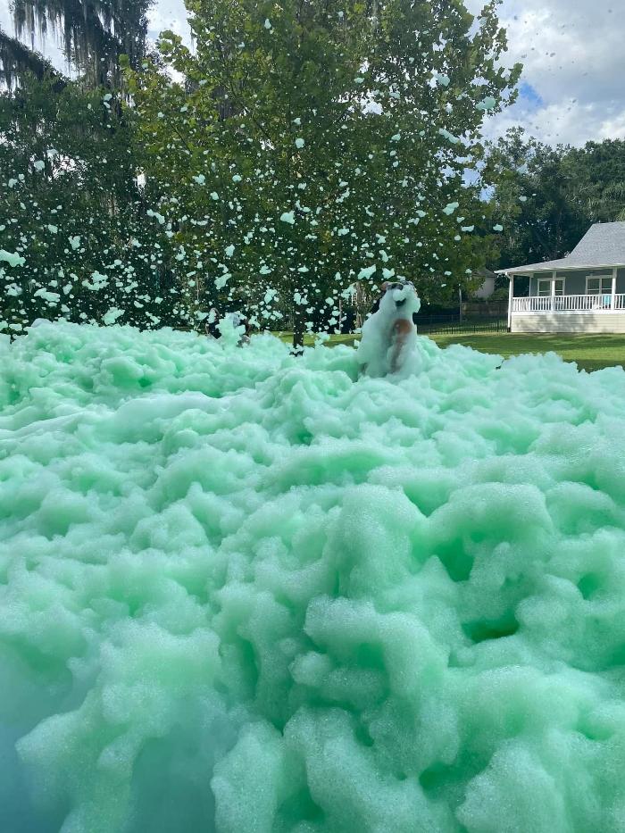 FANTASTIC FOAM PARTY - Michigan's Premier Foam Party Experience! - Davison, MI
