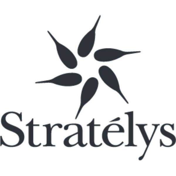 Stratelys Expert