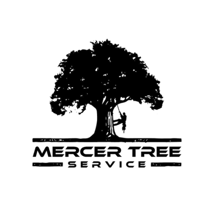 Mercer Tree Service - Oklahoma City, OK