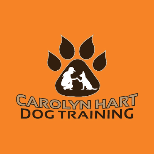 Carolyn Hart Dog Training Manheim (717)940-0506