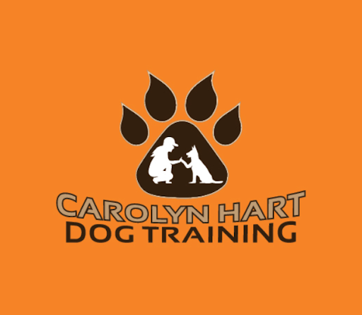 Image 2 | Carolyn Hart Dog Training