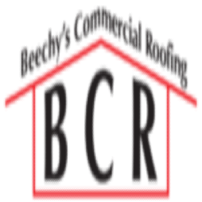 Beechy's Commercial Roofing LLC - Bronson, MI