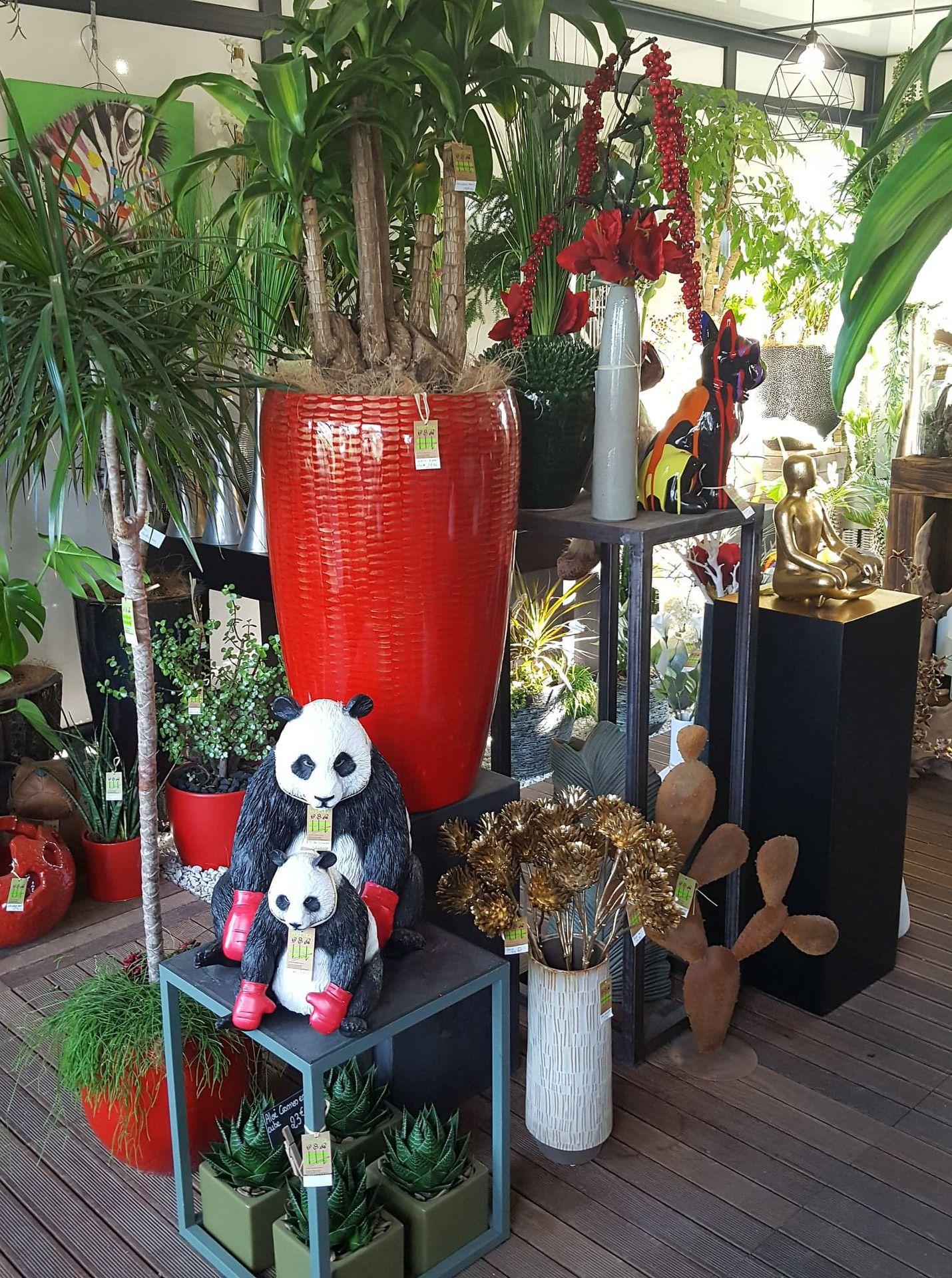 galerie image