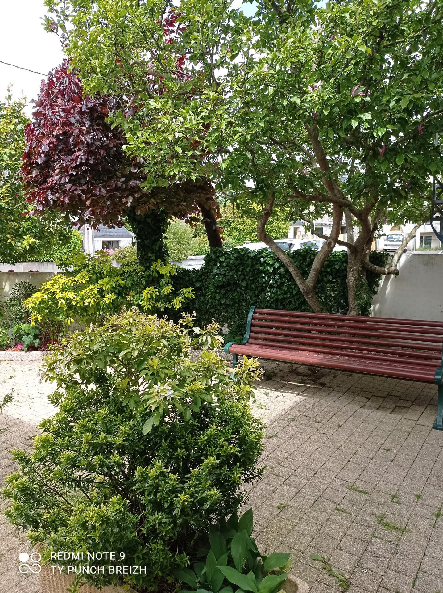galerie image