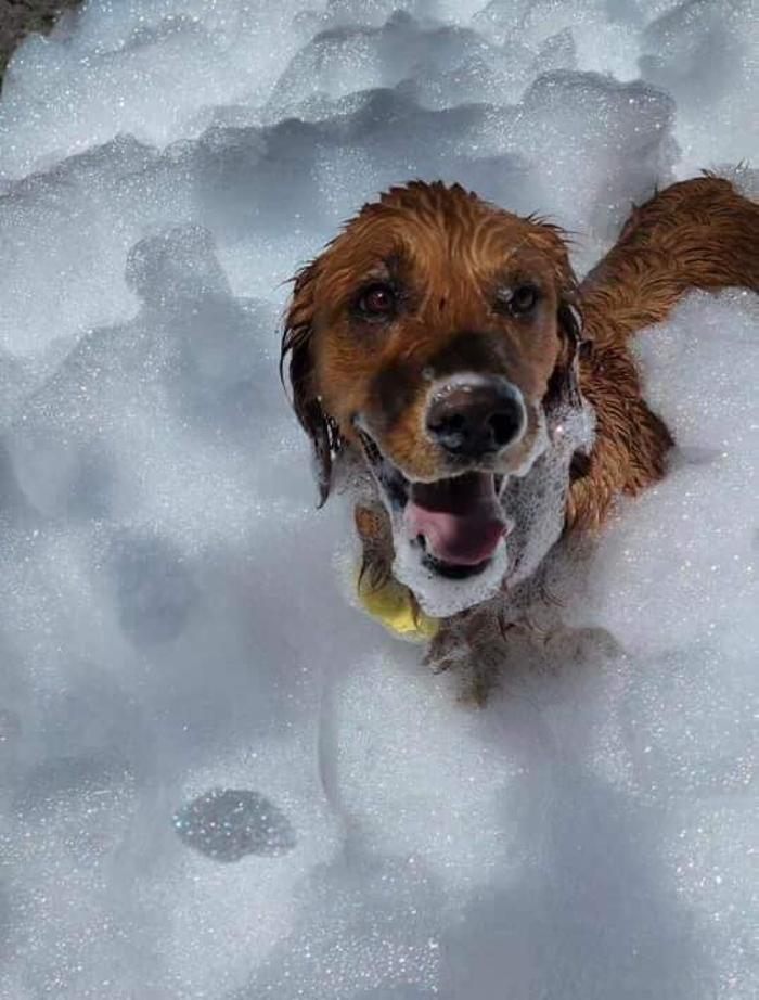 Foamsational Fun - Brighton, CO