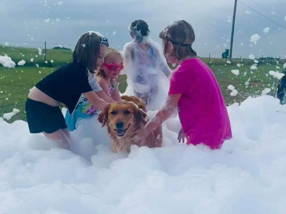 Foamsational Fun - Brighton, CO