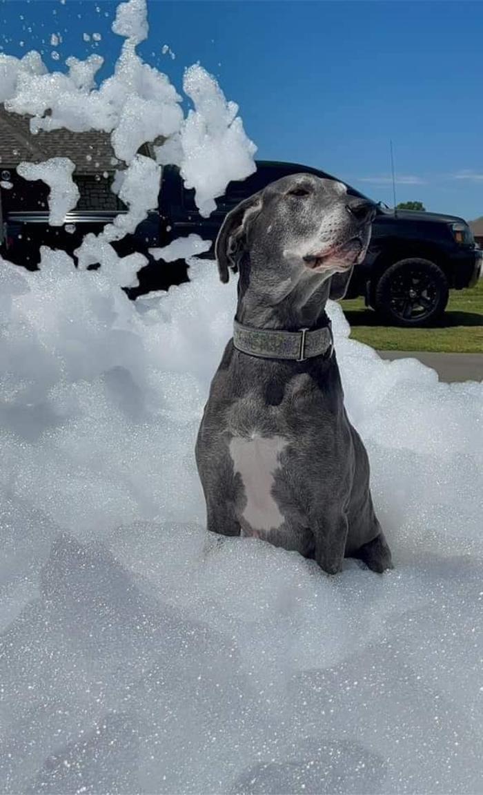 Foamsational Fun - Brighton, CO