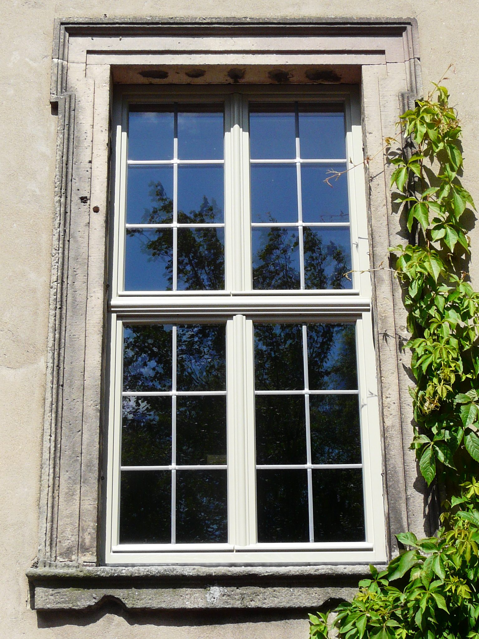 Galerie-Thumbnail