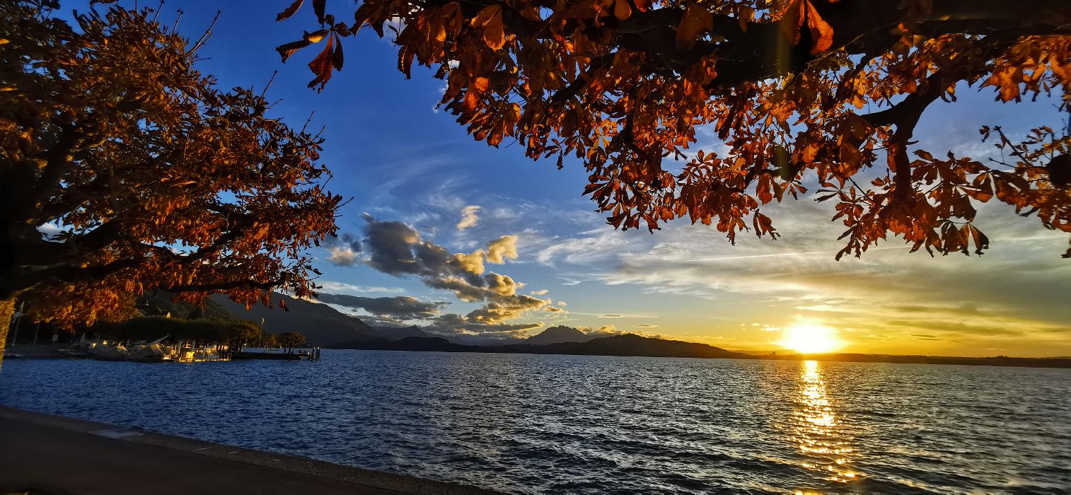 TUI Reisebüro Zug, Vorstadt in Zug