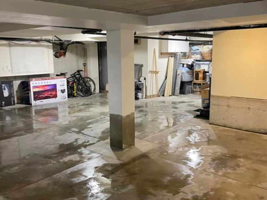 South Shore Flood, Fire & Mold - Weymouth, MA