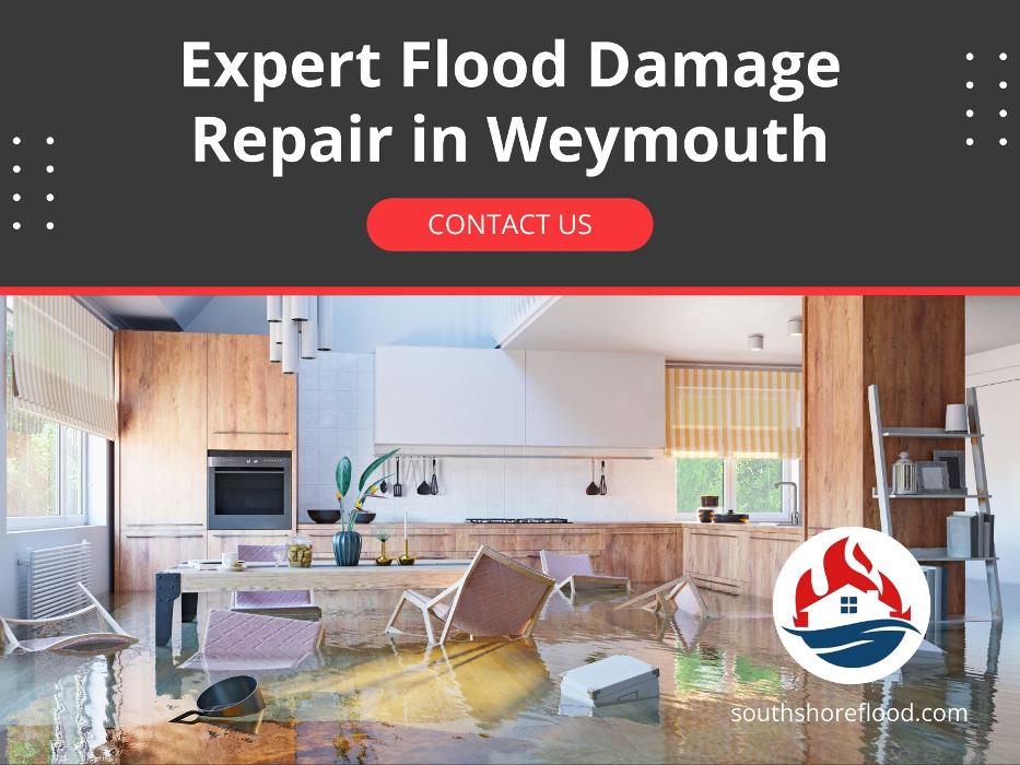 South Shore Flood, Fire & Mold - Weymouth, MA