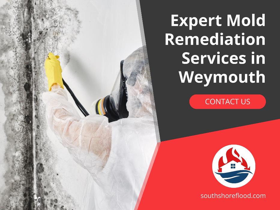 South Shore Flood, Fire & Mold - Weymouth, MA