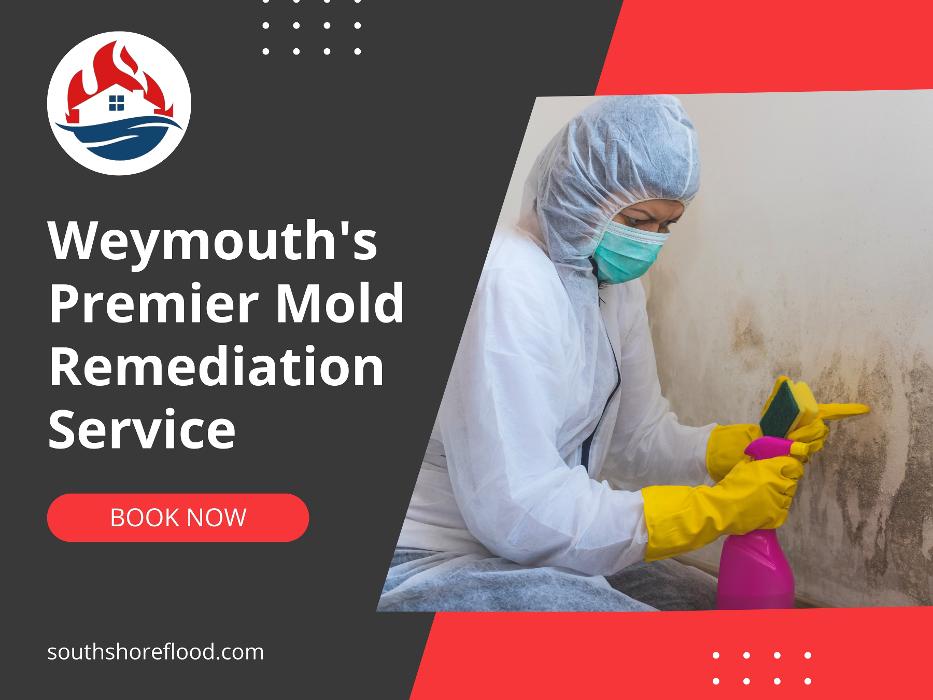 South Shore Flood, Fire & Mold - Weymouth, MA