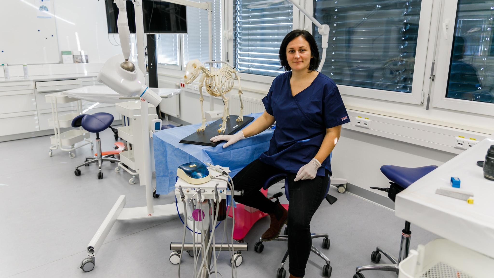 Zahntierärztin - Mag.med.vet. Christina Winter, Seilerstätte in Wien