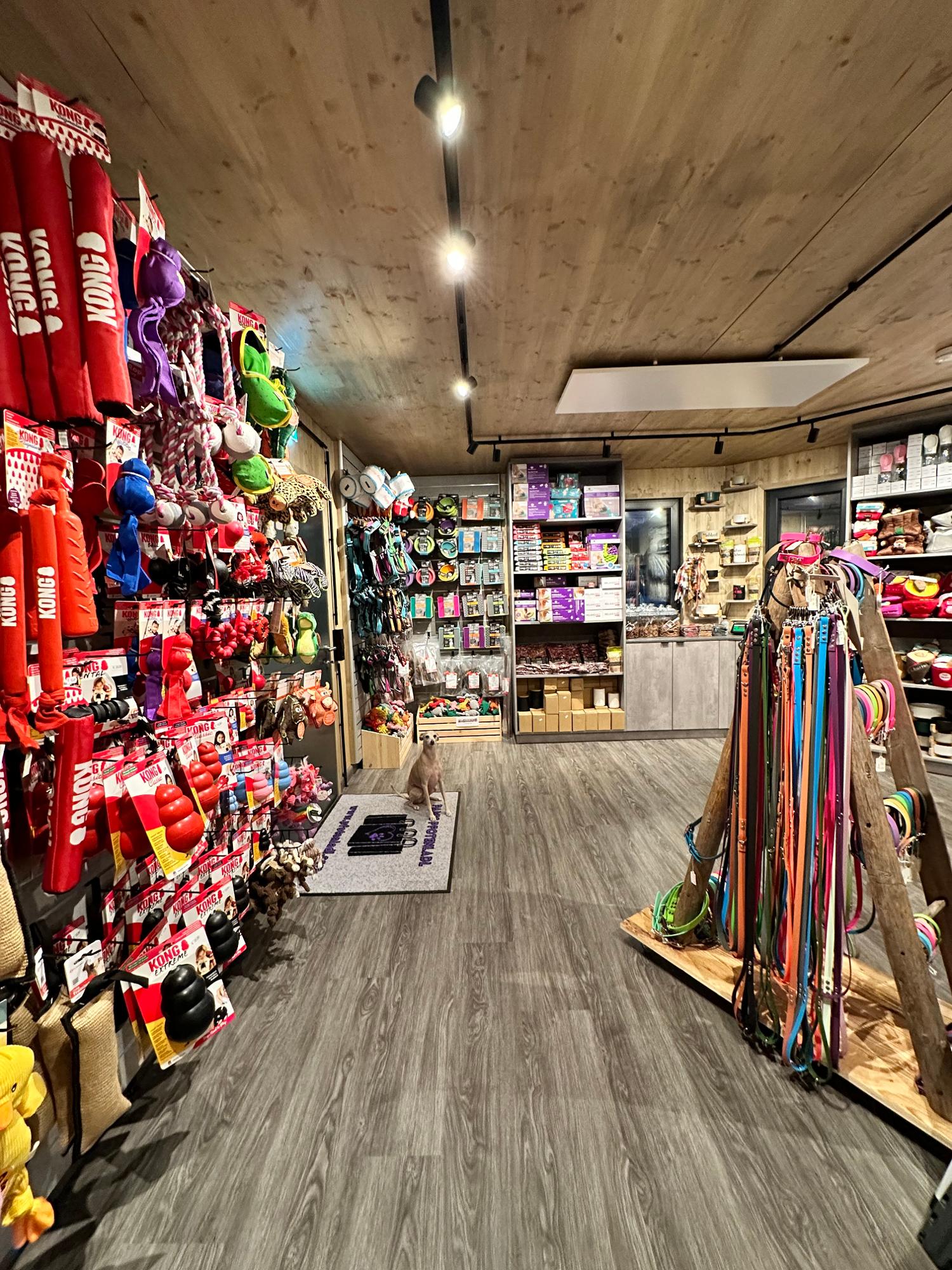 Galerie-Thumbnail