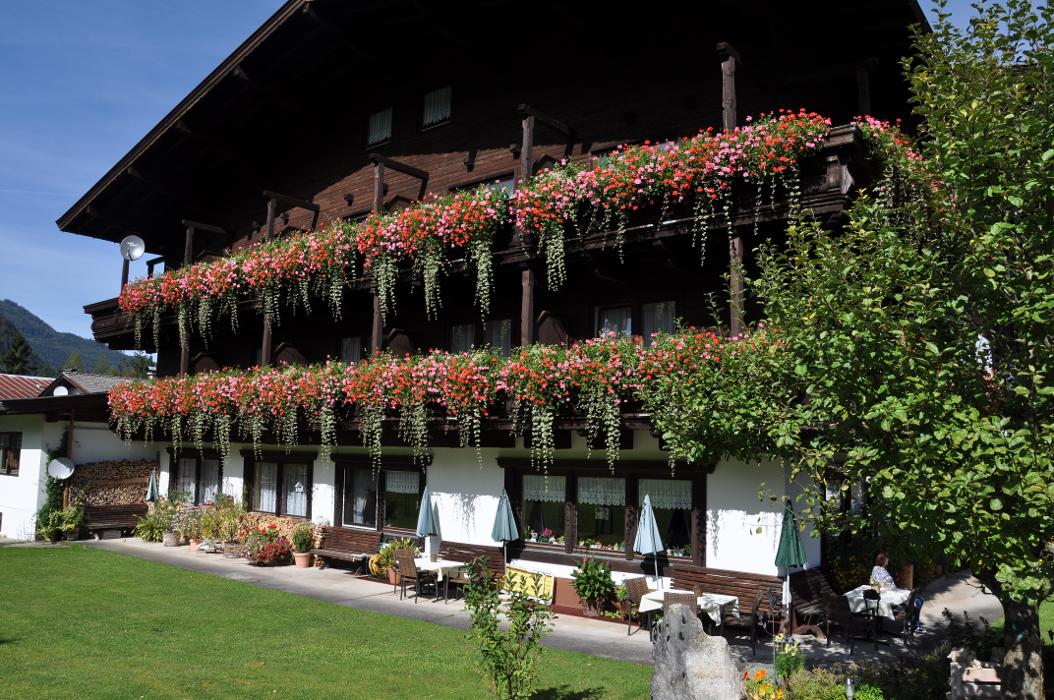 Pension Wilder Kaiser - Kirchdorf in Tirol, Griesenau in Kirchdorf in Tirol
