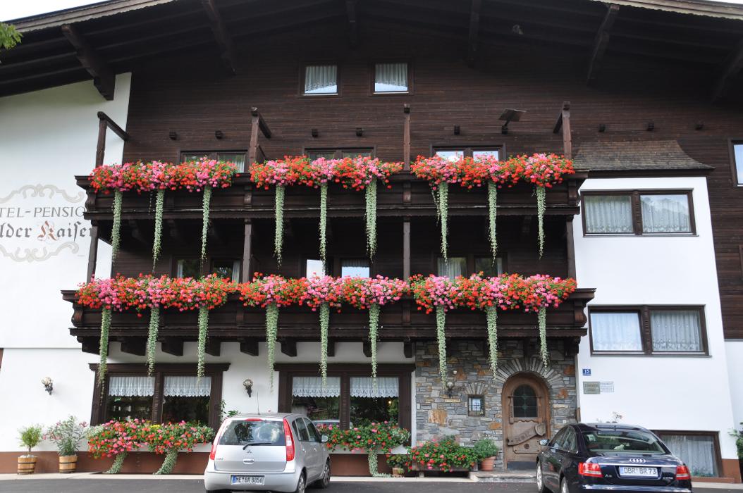 Pension Wilder Kaiser - Kirchdorf in Tirol, Griesenau in Kirchdorf in Tirol