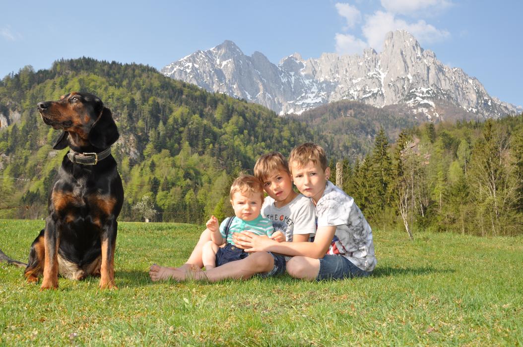 Pension Wilder Kaiser - Kirchdorf in Tirol, Griesenau in Kirchdorf in Tirol
