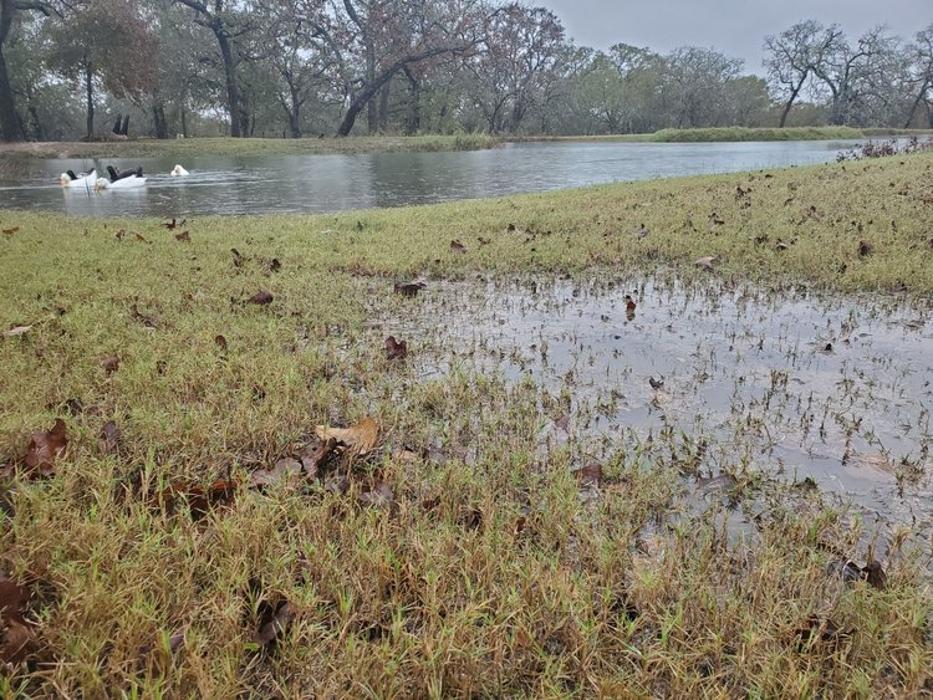 JTB Land Improvements - Adkins, TX