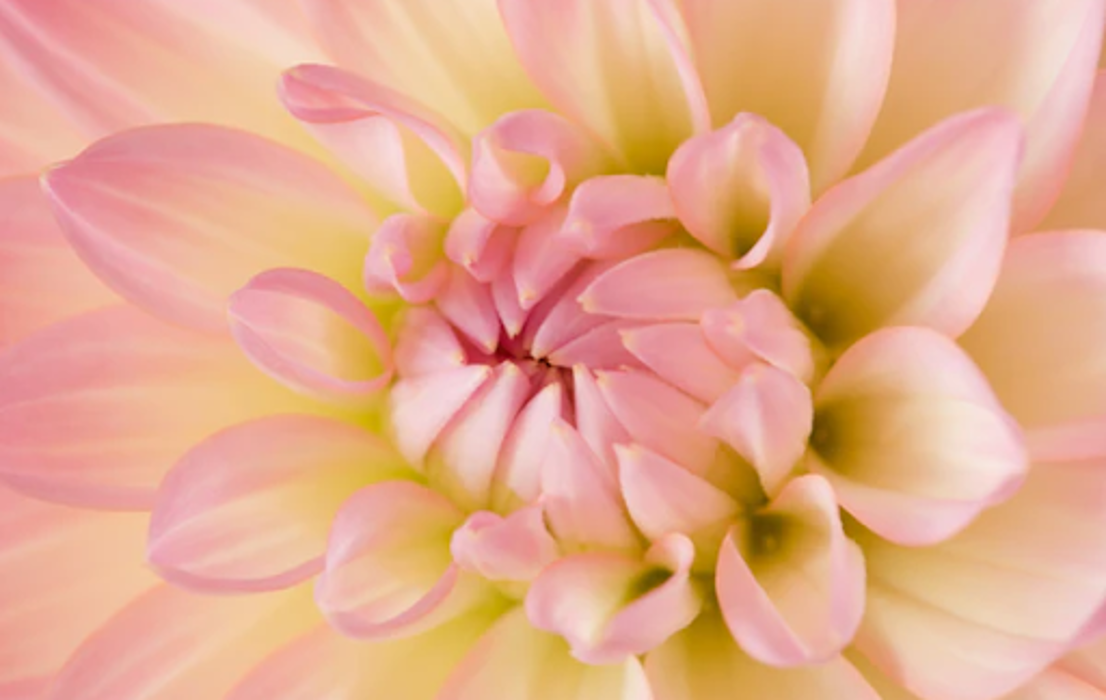 Face and Body Laser - Honolulu, HI