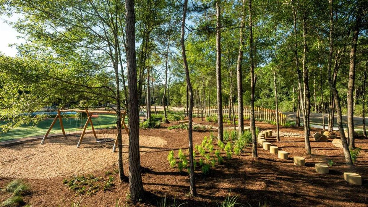 Perry Homes - Artavia 45' Image