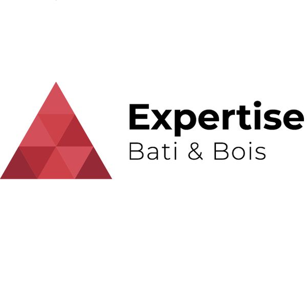 Expertise Bâti & Bois