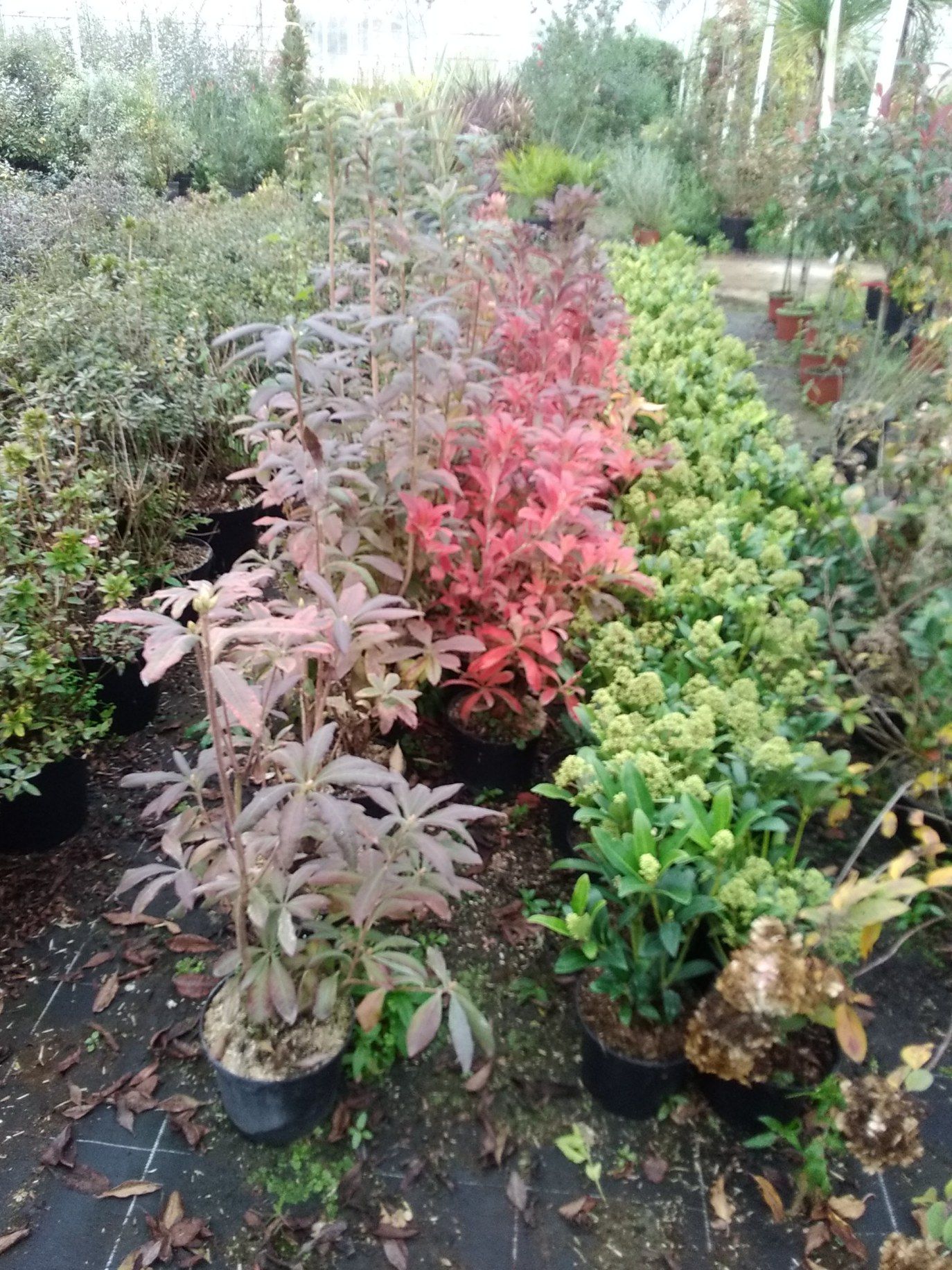 galerie image galerie image