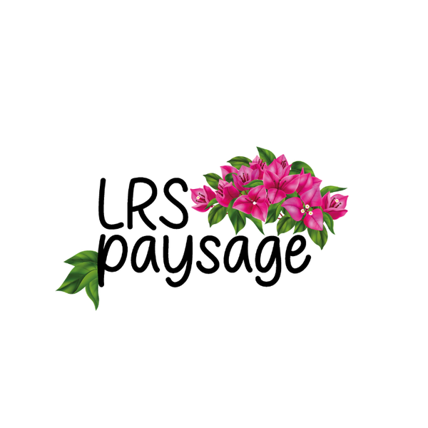 Lrs Paysage