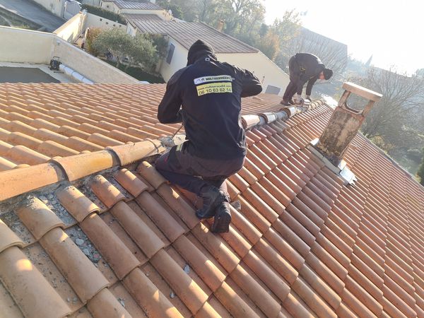 Lagrenée Sabrino Expert