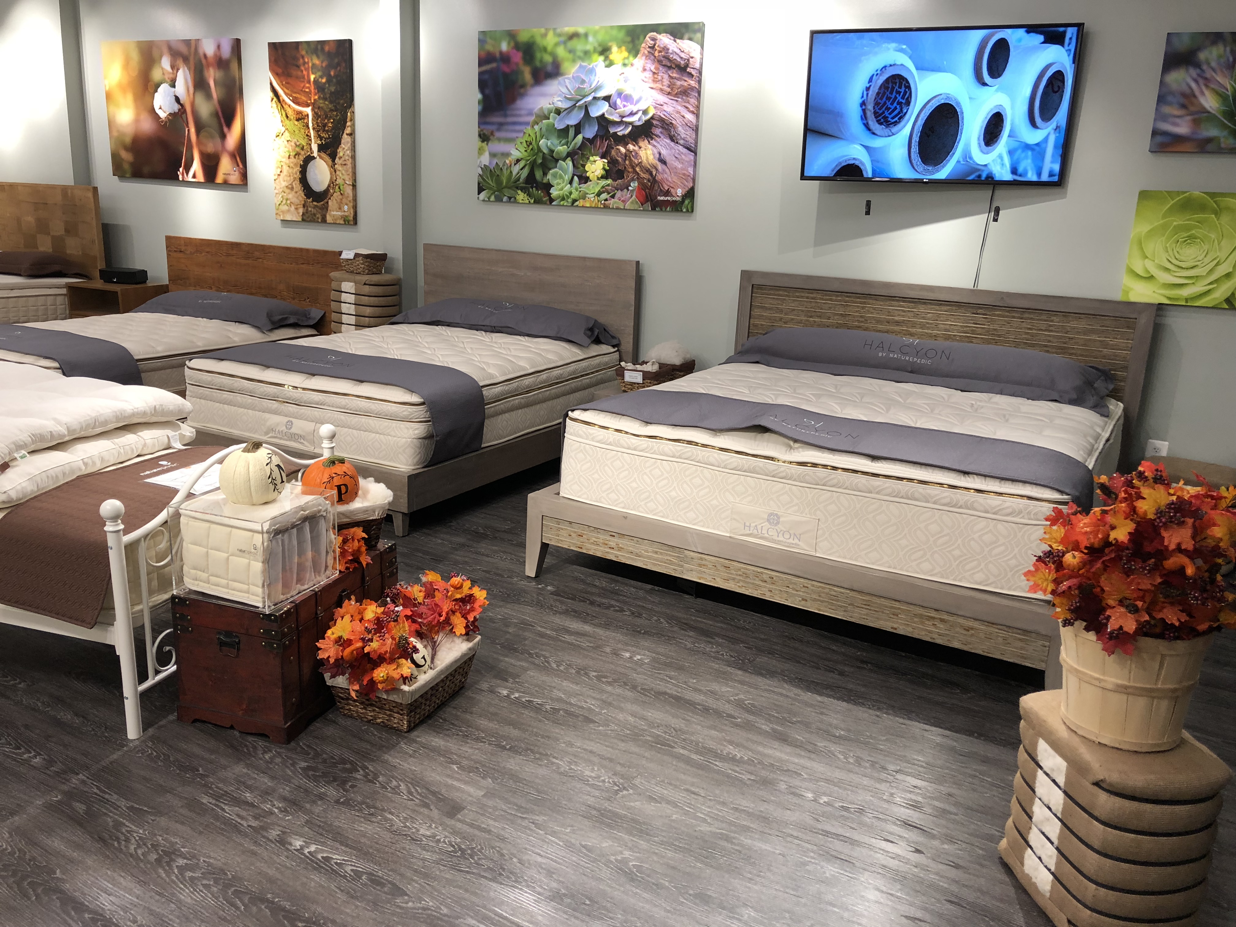 Image 5 | Naturepedic Organic Mattress Gallery North Bethesda