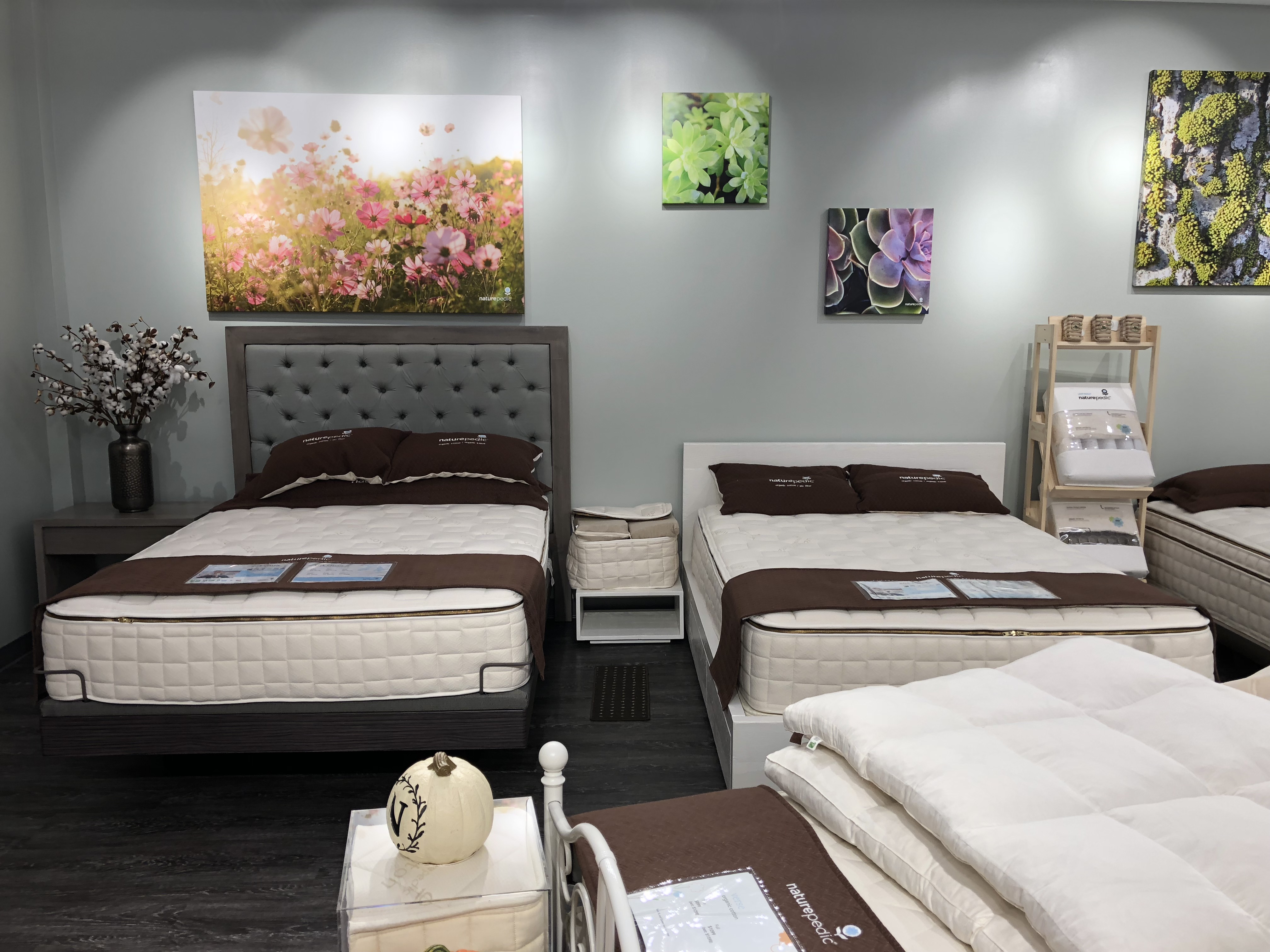 Image 6 | Naturepedic Organic Mattress Gallery North Bethesda