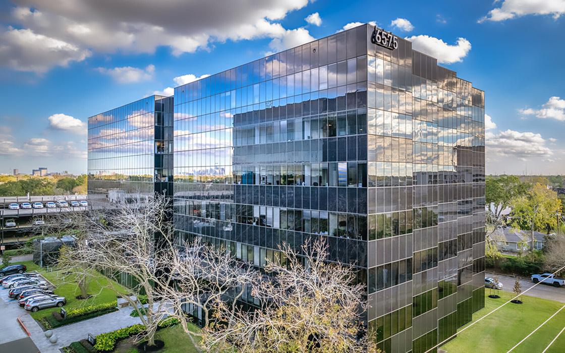 ViewGenix, Inc. - Bellaire, TX