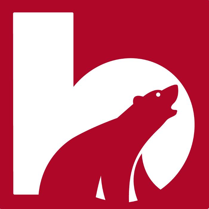 Bären Elektro AG in Bern