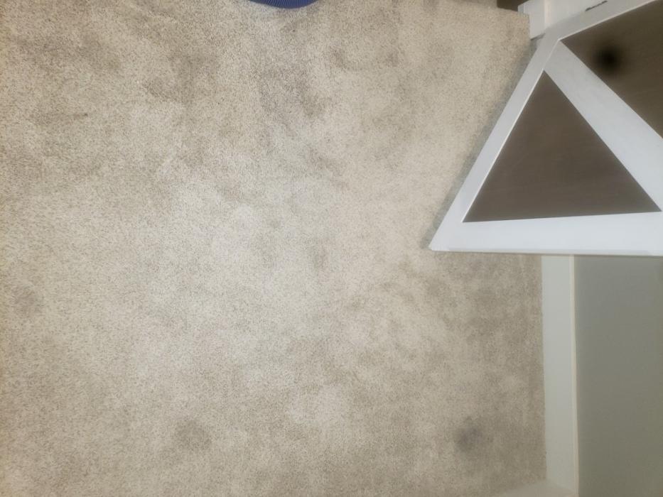 Cleveland Steamer Cleaning Services - Brook Park, OH