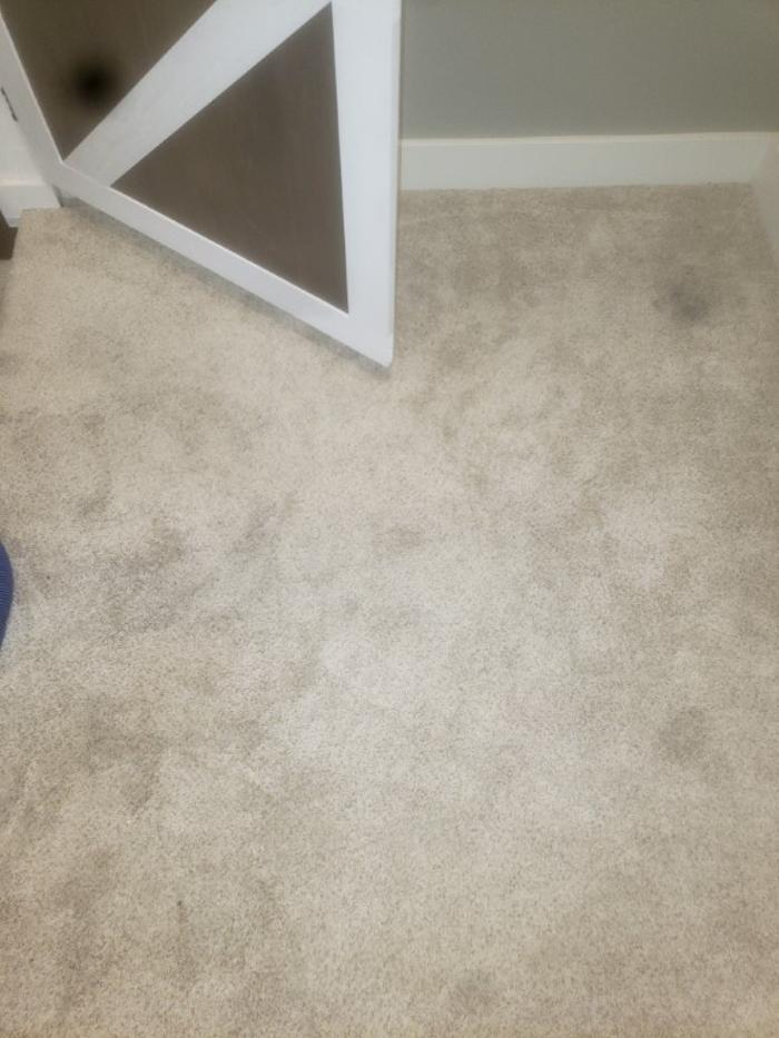 Cleveland Steamer Cleaning Services - Brook Park, OH