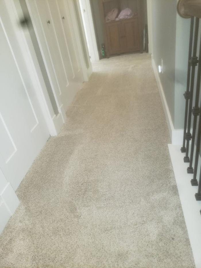 Cleveland Steamer Cleaning Services - Brook Park, OH