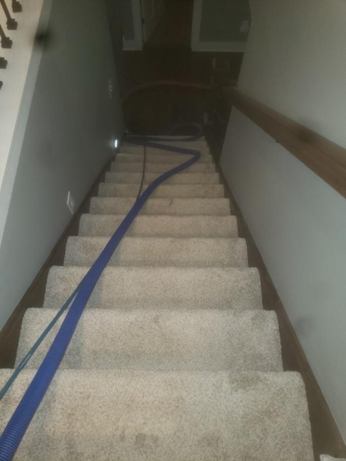 Cleveland Steamer Cleaning Services - Brook Park, OH