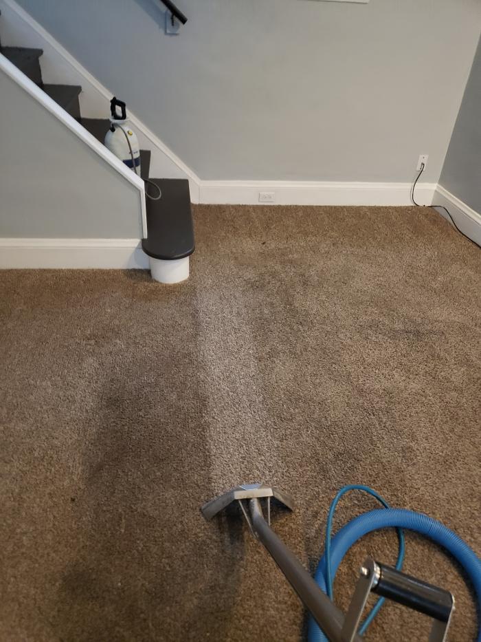 Cleveland Steamer Cleaning Services - Brook Park, OH