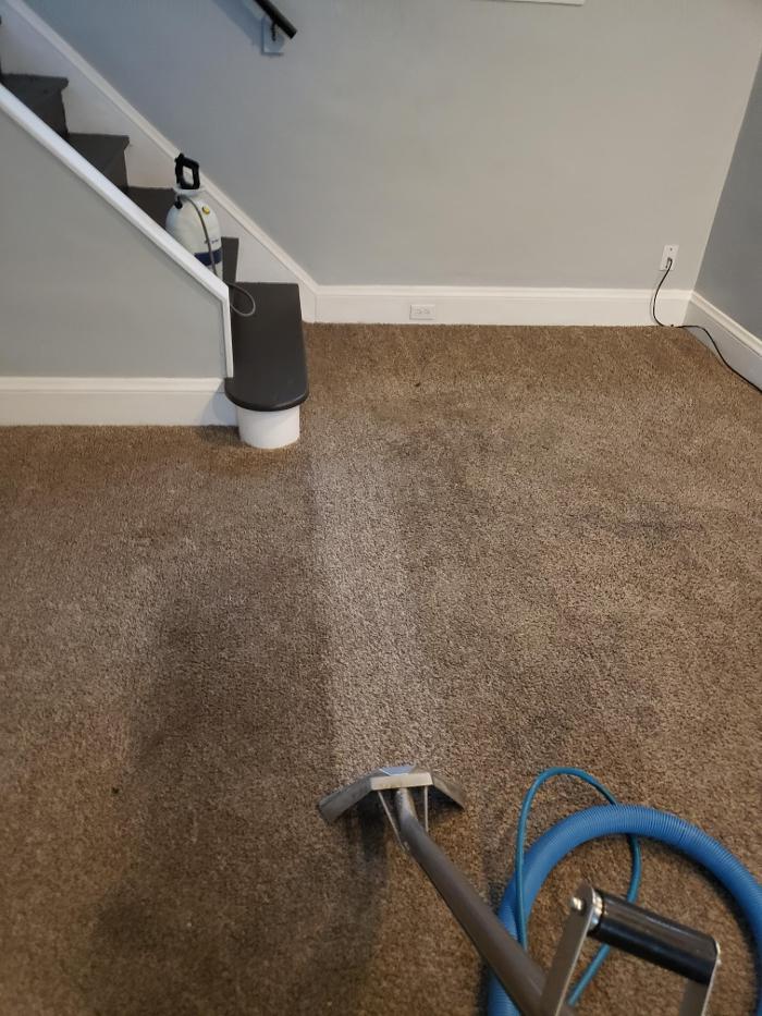 Cleveland Steamer Cleaning Services - Brook Park, OH