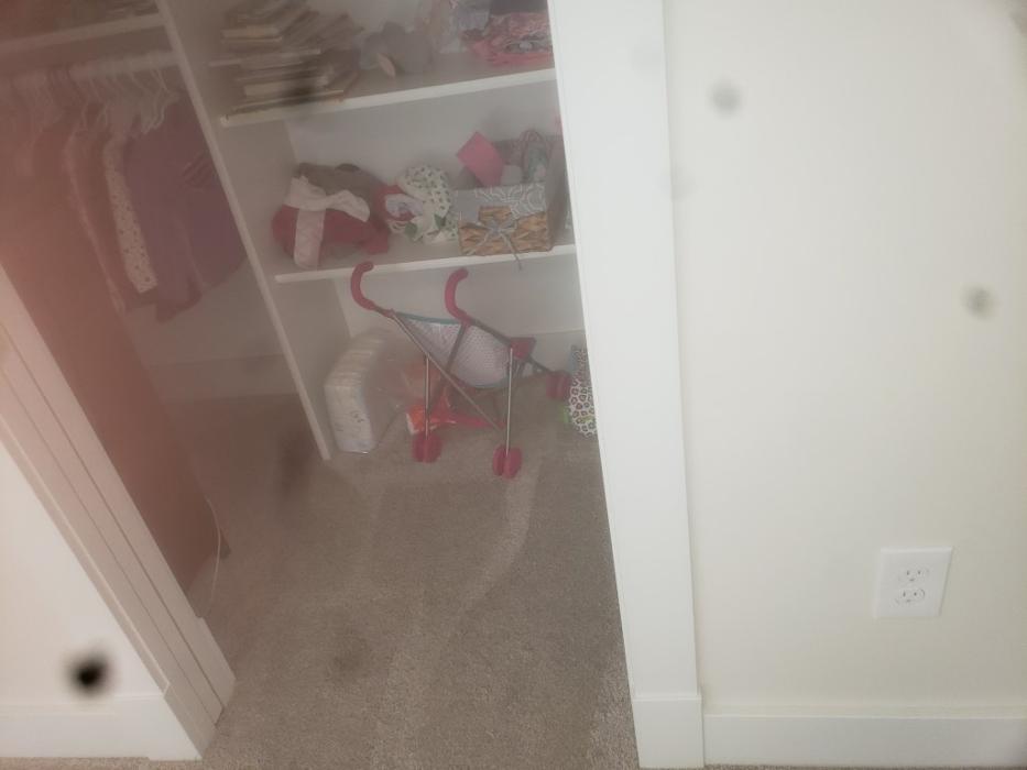 Cleveland Steamer Cleaning Services - Brook Park, OH