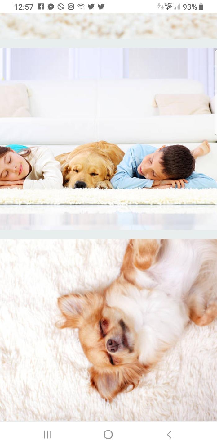 Cleveland Steamer Cleaning Services - Brook Park, OH