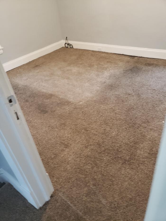 Cleveland Steamer Cleaning Services - Brook Park, OH