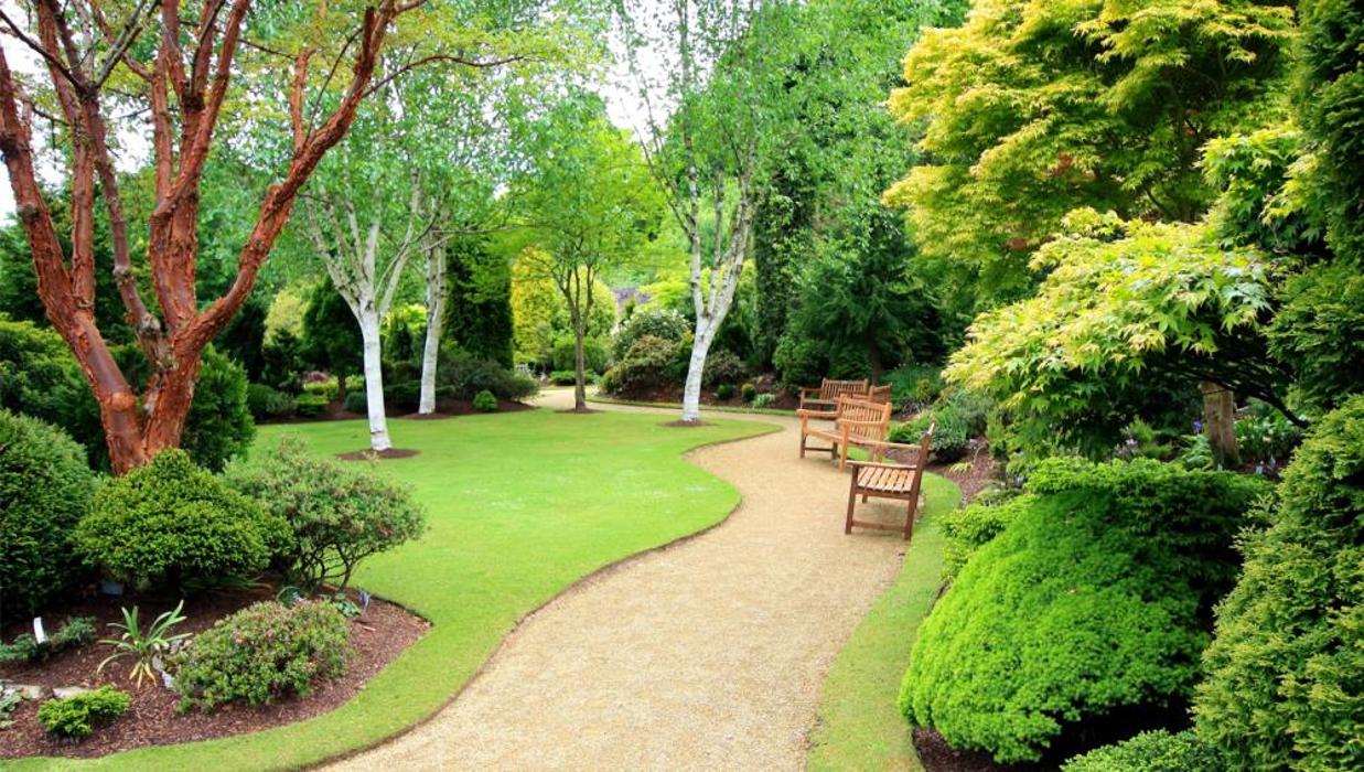 De Jesus Landscape Service - Sarasota, FL