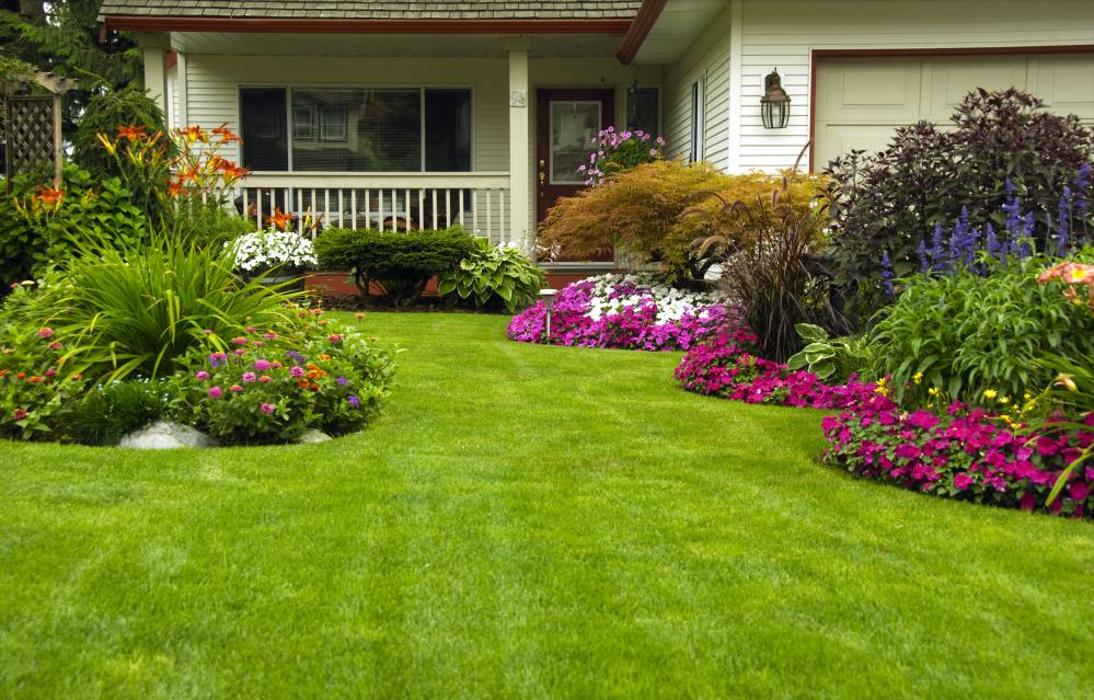 De Jesus Landscape Service - Sarasota, FL