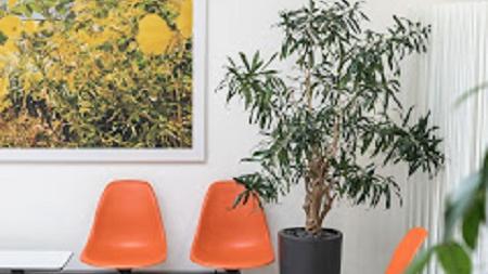 Diagnostikum Graz, Weblinger Gürtel in Graz