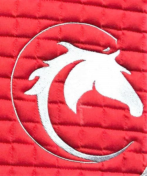 Carole Nogueira Comportementaliste Equin et Saddle-fitter magasin de sport