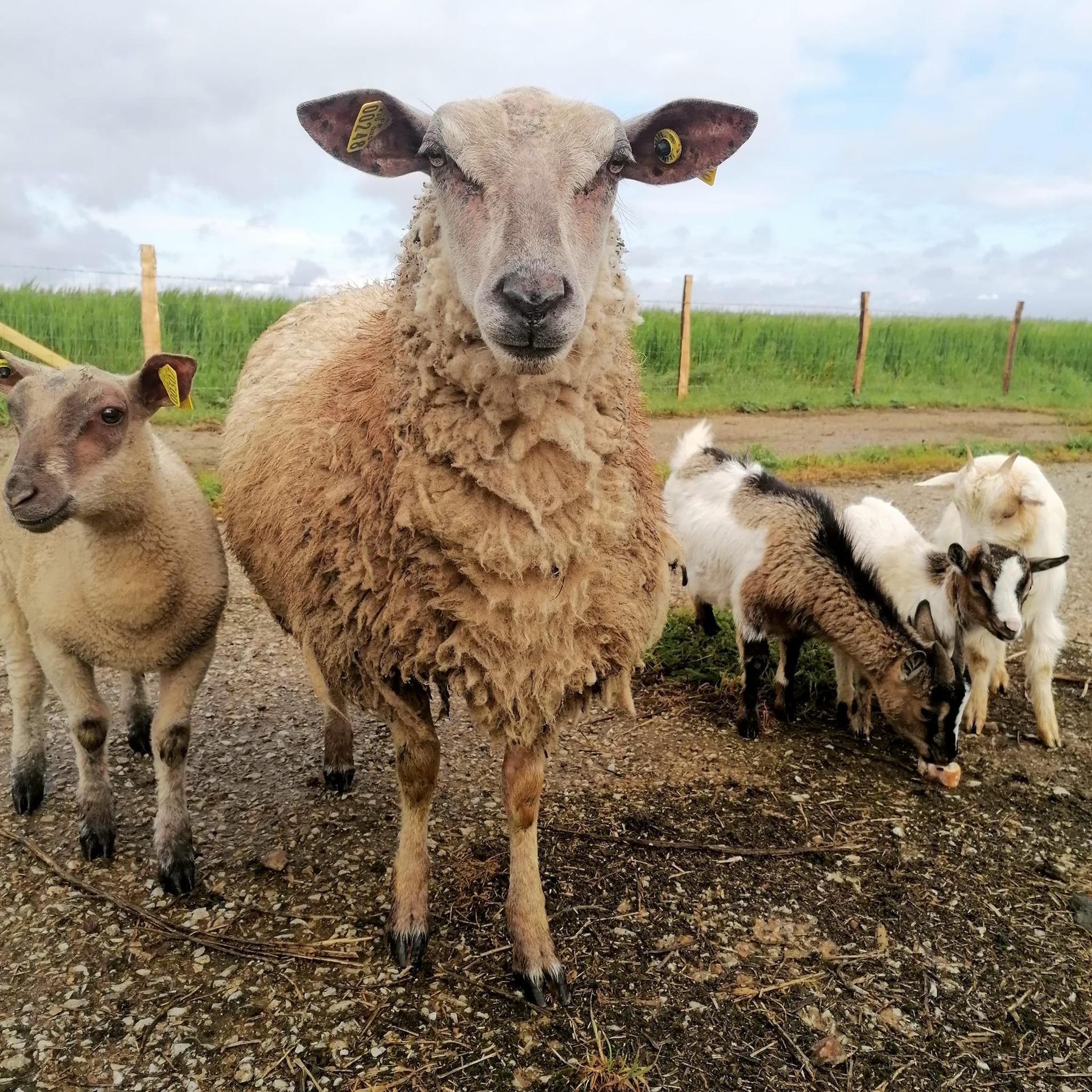 galerie image galerie image