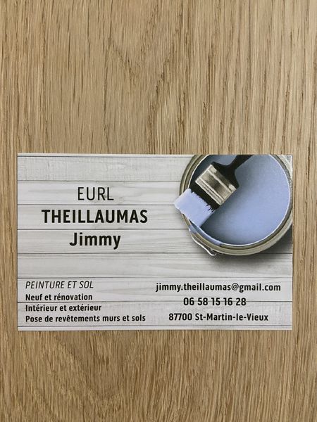 THEILLAUMAS JIMMY Expert