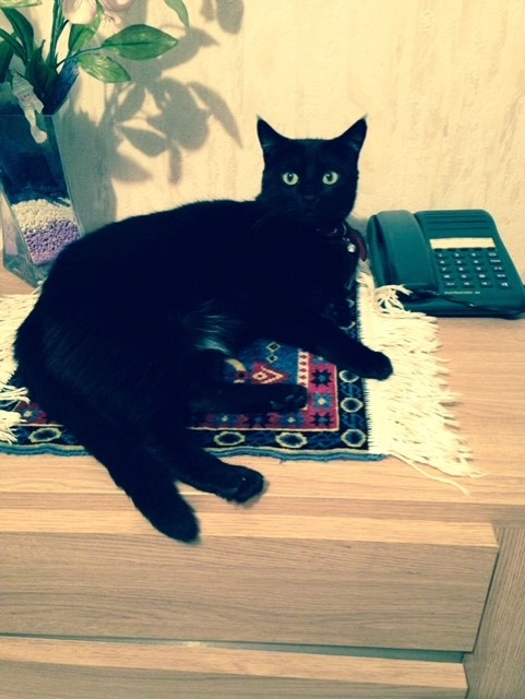 Miniature de la galerie