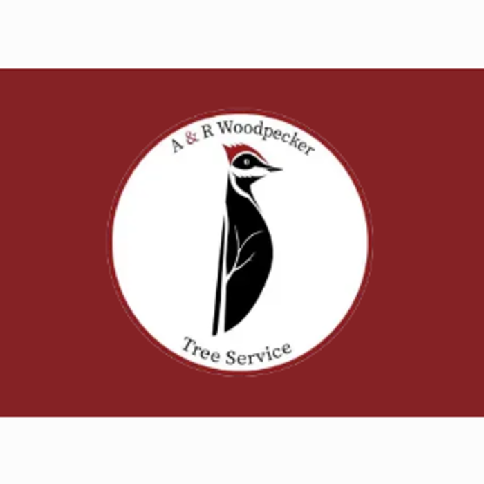 A&amp;R Woodpeckers Tree Service Logo